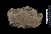 藏品(打製石斧殘件)的圖片