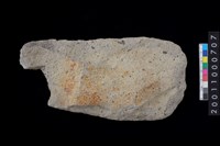 藏品(打製石斧殘件)的圖片