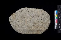 藏品(打製石斧)的圖片