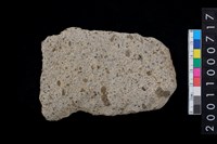 藏品(打製石斧)的圖片