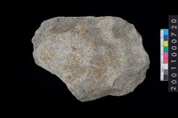 藏品(打製石斧殘件)的圖片