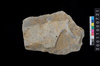 藏品(打製石斧殘件)的圖片