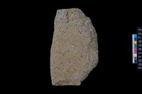 藏品(打製石斧殘件)的圖片