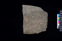 藏品(打製石斧殘件)的圖片