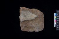 藏品(打製石斧殘件)的圖片