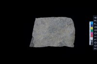 藏品(打製石斧殘件)的圖片