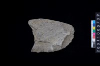 藏品(打製石斧殘件)的圖片