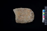 藏品(打製石斧殘件)的圖片