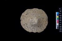 藏品(石蓋殘件)的圖片