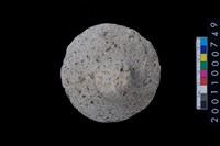 藏品(石蓋)的圖片