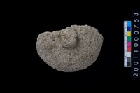 藏品(石蓋殘件)的圖片