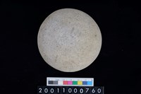 藏品(石錘)的圖片