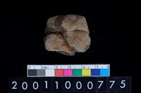 藏品(石網墜)的圖片