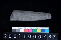 藏品(石網墜殘件)的圖片