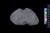 藏品(石網墜)的圖片