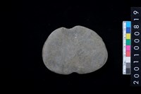 藏品(石網墜)的圖片