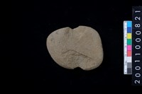 藏品(石網墜)的圖片