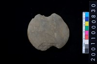 藏品(石網墜)的圖片