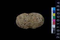 藏品(石網墜)的圖片