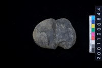 藏品(石網墜殘件)的圖片