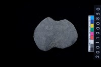 藏品(石網墜)的圖片