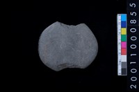 藏品(石網墜)的圖片