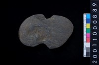 藏品(石網墜)的圖片