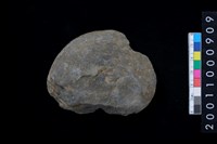 藏品(石網墜殘件)的圖片