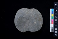 藏品(石網墜殘件)的圖片