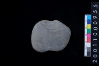 藏品(石網墜)的圖片