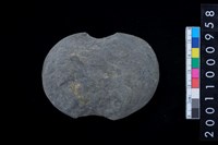 藏品(石網墜)的圖片