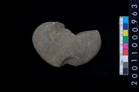 藏品(石網墜)的圖片