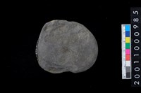 藏品(石網墜殘件)的圖片