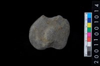 藏品(石網墜)的圖片