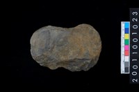 藏品(石斧)的圖片