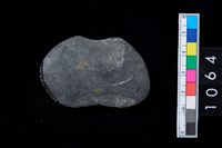 藏品(石網墜)的圖片