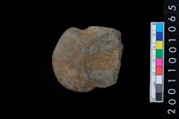 藏品(石網墜殘件)的圖片