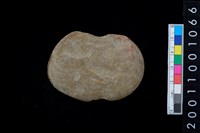 藏品(石網墜殘件)的圖片