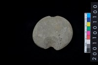 藏品(石網墜)的圖片