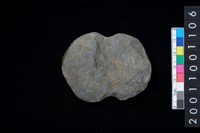 藏品(石網墜殘件)的圖片