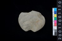 藏品(石網墜殘件)的圖片