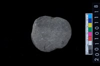 藏品(石網墜殘件)的圖片