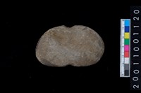 藏品(石網墜)的圖片