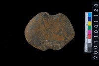 藏品(石網墜)的圖片