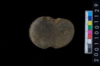 藏品(石網墜)的圖片