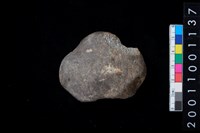 藏品(石網墜)的圖片