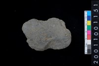 藏品(石網墜殘件)的圖片