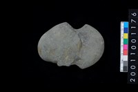 藏品(石網墜殘件)的圖片