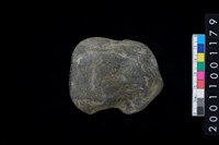 藏品(石網墜)的圖片