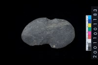 藏品(石網墜)的圖片